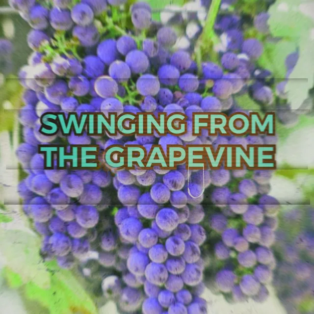 Swinging' From The Grapevine