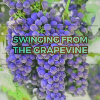 Swinging' From The Grapevine by TWB