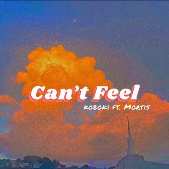 Can't Feel by Koboki