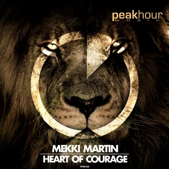 Heart Of Courage by Mekki Martin