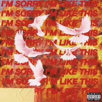 I'm Sorry I'm Like This by Chris LaFlare