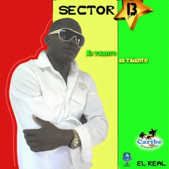 El talento es talento by Sector 13