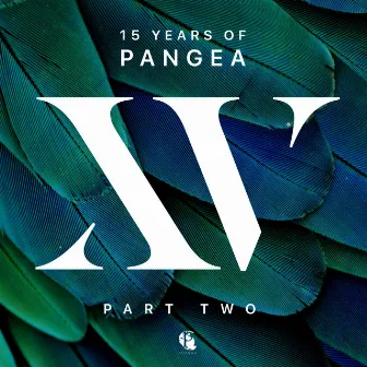 15 Years of Pangea, Pt. 2 by Michael Wilson