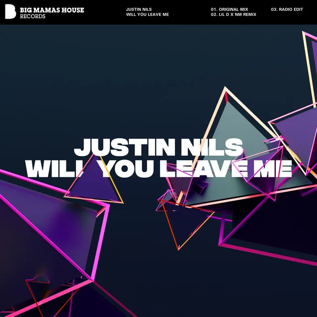 Will You Leave Me - Radio Edit