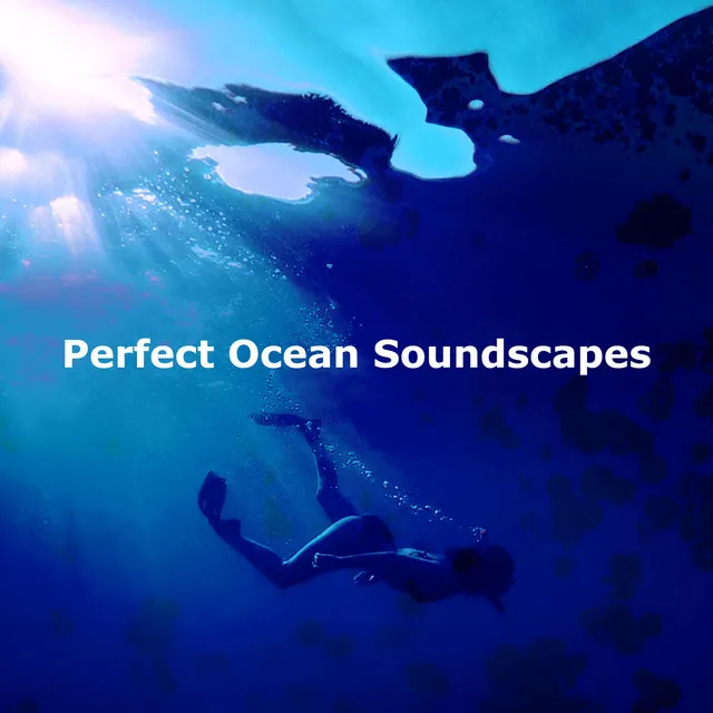 Perfect Ocean Soundscapes