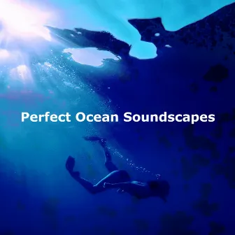 Perfect Ocean Soundscapes by Ocean Soundscapes