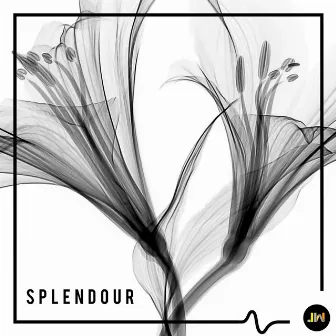 Splendour by Emer Landers