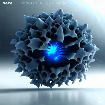 Mindful Attractions by Nava