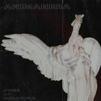 ANIMANERA by SAN JUNO