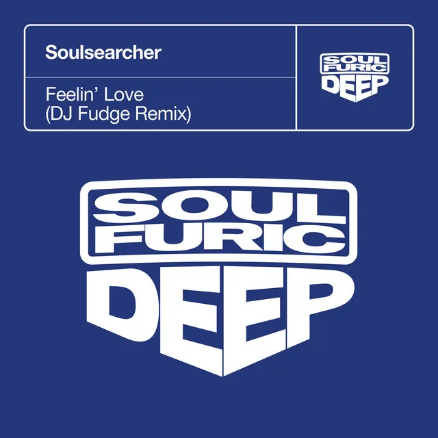 Feelin' Love (DJ Fudge Remix)