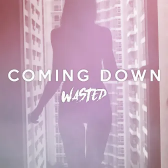 Coming Down by Wasted