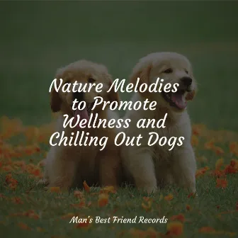 Affirming Music For Dogs | Zen Relaxation by Official Pet Care Collection