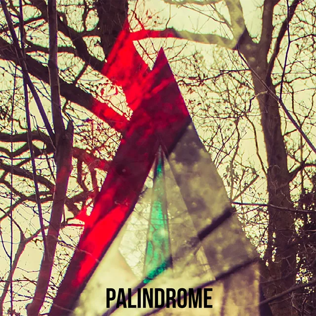 Palindrome