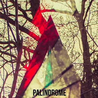 Palindrome by Landshapes