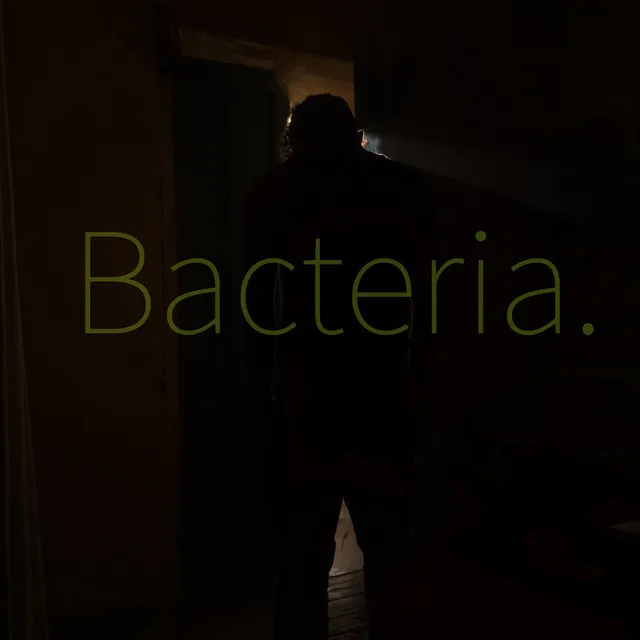 Bacteria.