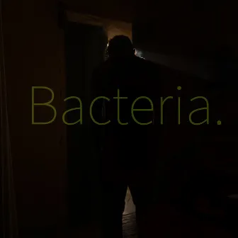 Bacteria. by ArmandoB