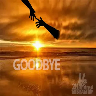 Goodbye by Boog Perignon