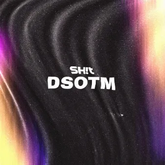 Dsotm by Sh!t