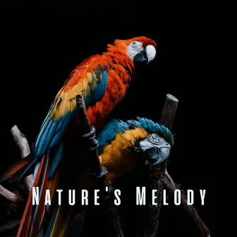 Nature's Melody: Tranquil Bird Sounds for Meditation by Yoga Music Mindful Mommy