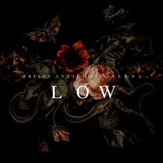 LOW by Antillon