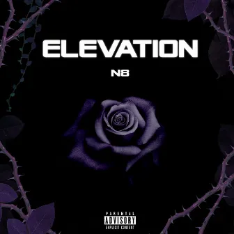 Elevation by N8