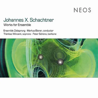 Schachtner: Works for Ensemble by Johannes X. Schachtner