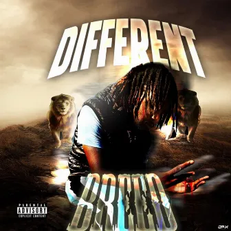 Different Breed by Youngin. King