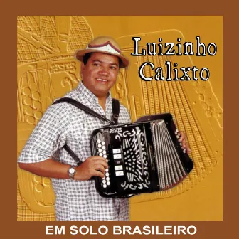 Em Solo Brasileiro by Luizinho Calixto