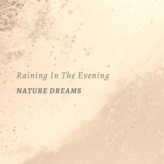 Raining In The Evening