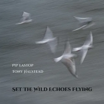 Set The Wild Echoes Flying by Pip Eastop