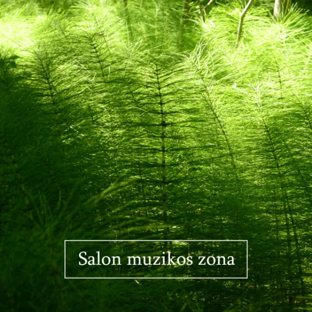 Salon muzikos zona