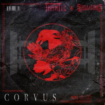 Corvus by Skull N Tones