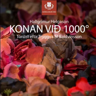 Konan við 1000° by Siggi String Quartet