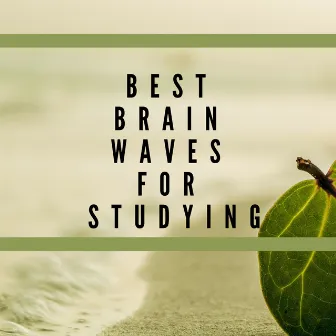 Best Brain Waves for Studying – Music to Increase Memory Power by Brainwaves Mike