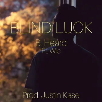 Blind Luck by B. Heard