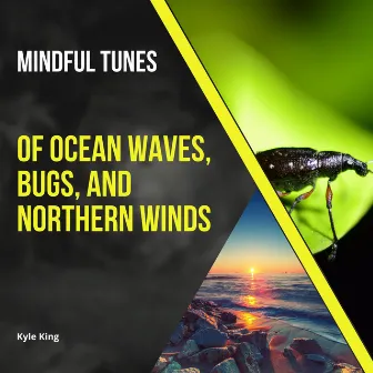 Mindful Tunes of Ocean Waves, Bugs, and Northern Winds by Kyle King