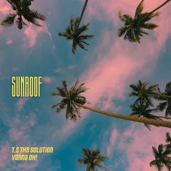 Sunroof by T.S the Solution