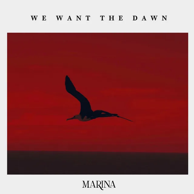 We Want The Dawn