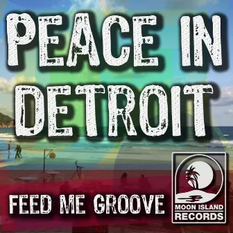 Peace In Detroit by Feed Me Groove