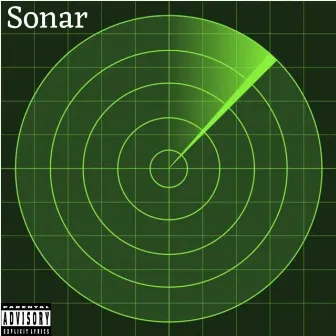 Sonar by Animal4l