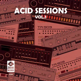 Acid Sessions Vol. 1 by Paul Renard (NL)