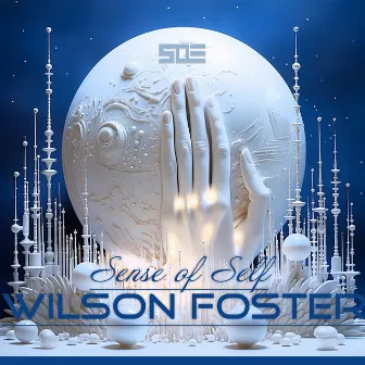 Sense of Self by Wilson Foster