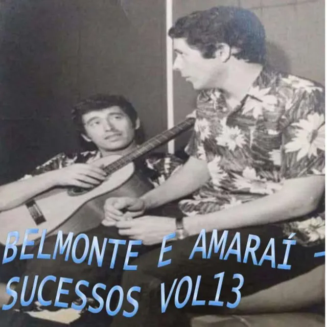 Sucessos, Vol. 13