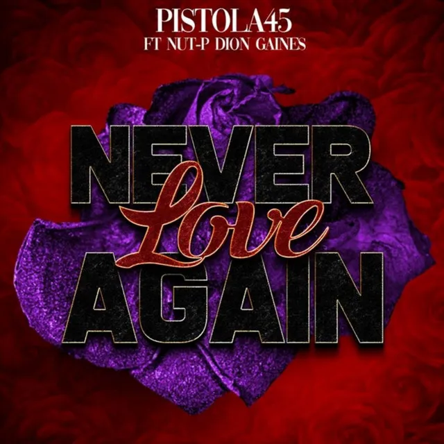 Never Love Again