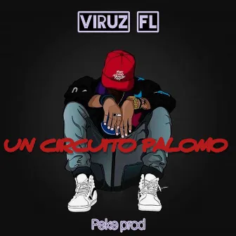 UN CIRCUITO PALOMO by Viruz FL