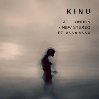 K I N U by New Stereo