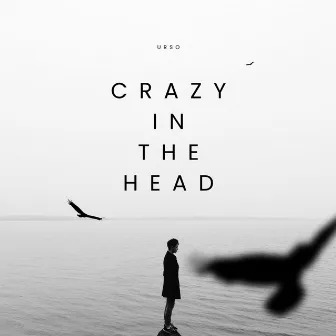 Crazy in the Head by Ursodiol