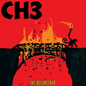 The Bellwether by Channel 3