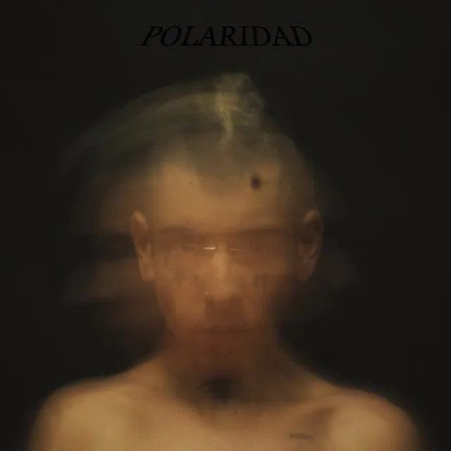 Polaridad