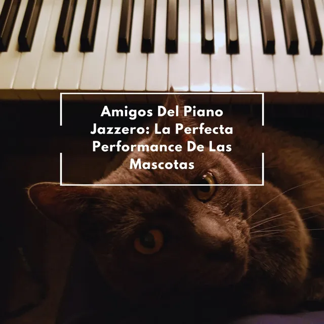 Amigos Del Piano Jazzero: La Perfecta Performance De Las Mascotas